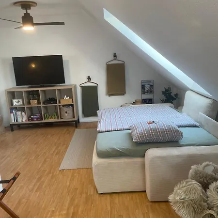 Homes * 巴特斯哈尔巴赫