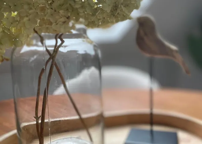 Homes Appartement Bad Schallerbach