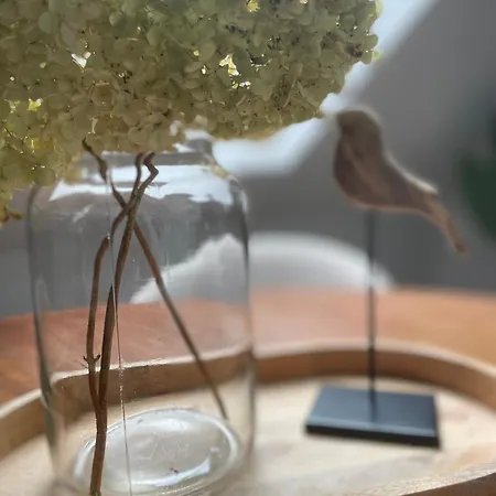 Homes Διαμέρισμα Bad Schallerbach